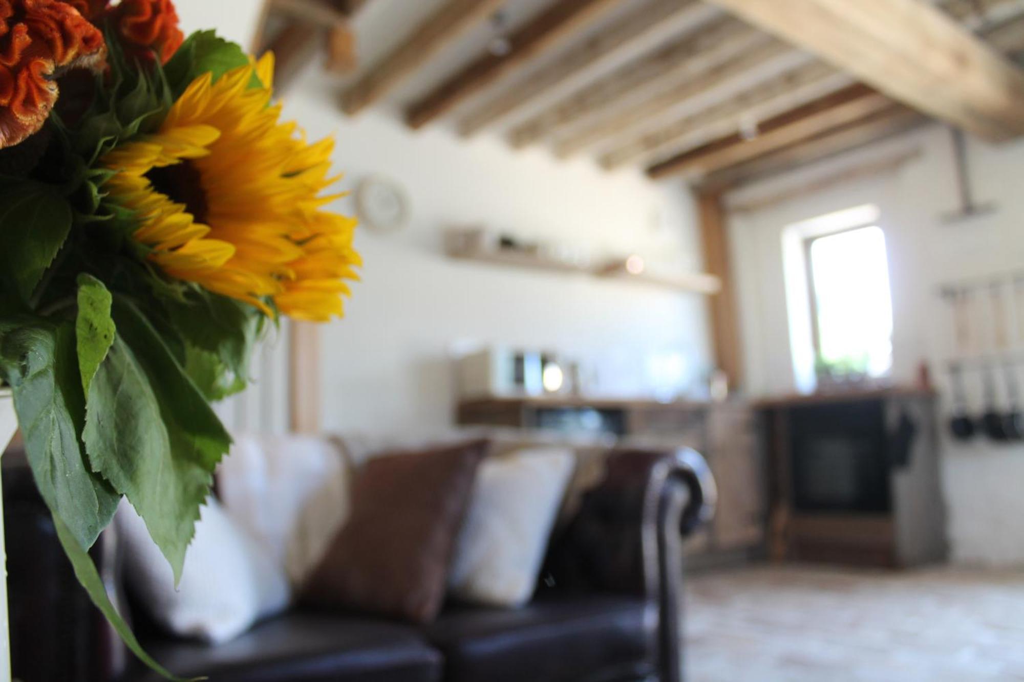 The Dovecote - Unique Self-Contained 1Bed Renovated Barn Villa Saffron Walden Eksteriør billede